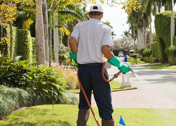 About Yettem CA Pest Control